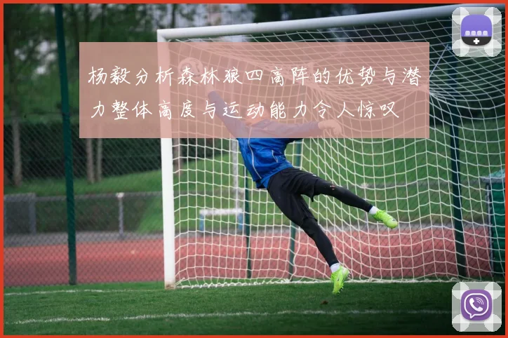 杨毅分析森林狼四高阵的优势与潜力整体高度与运动能力令人惊叹